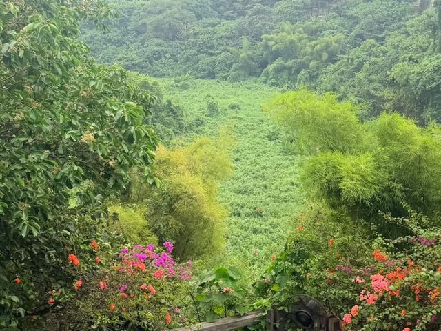 place photo 29