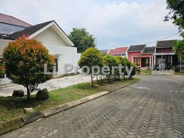 place photo 19