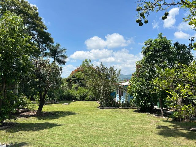 place photo 28