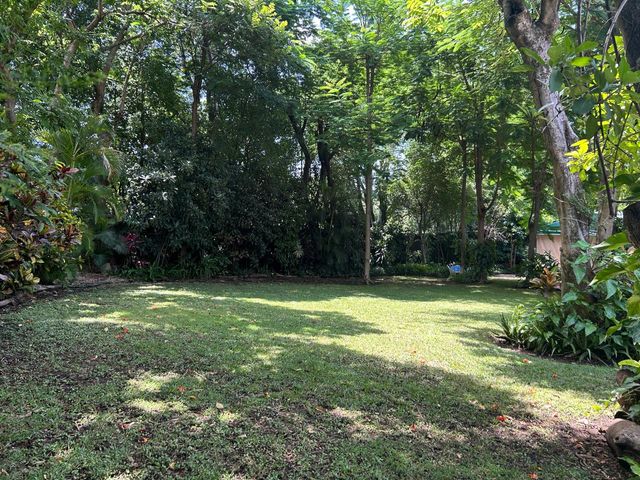 place photo 36