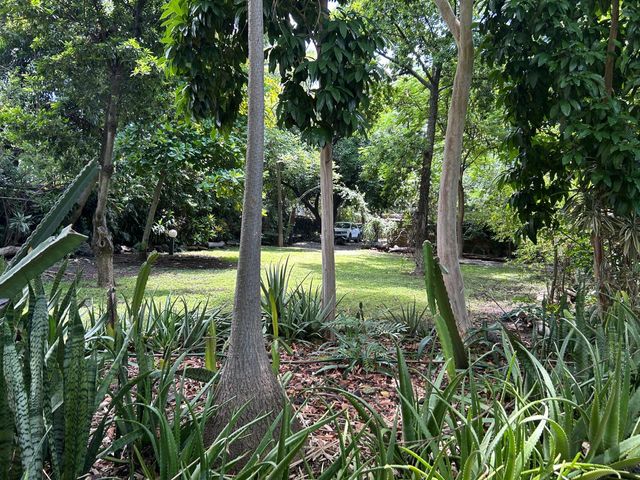 place photo 15