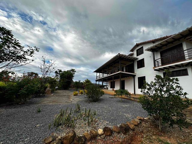 place photo 40