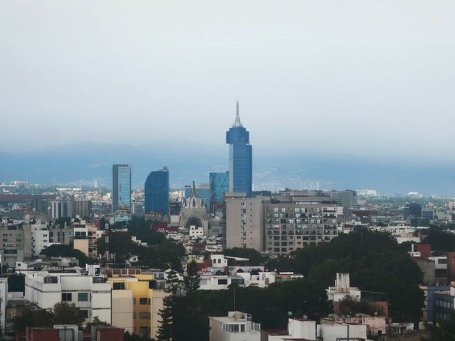 place photo 31