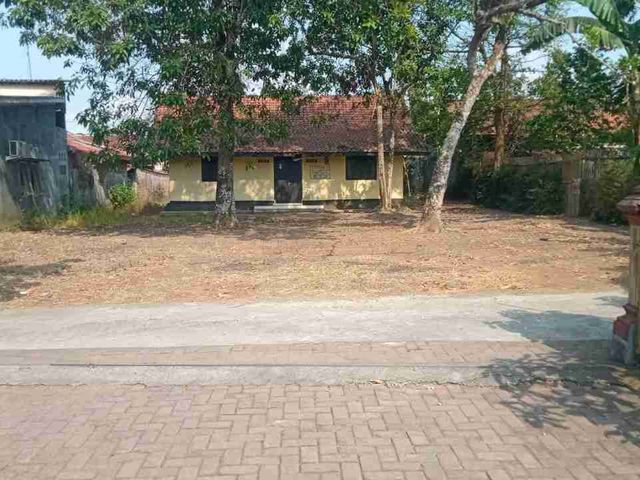 place photo 1
