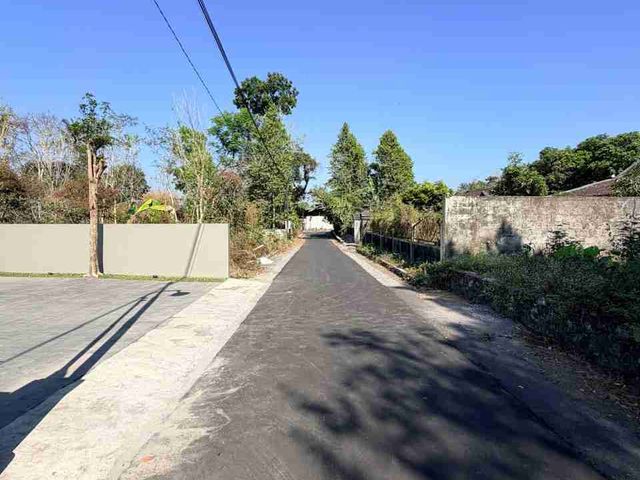place photo 50