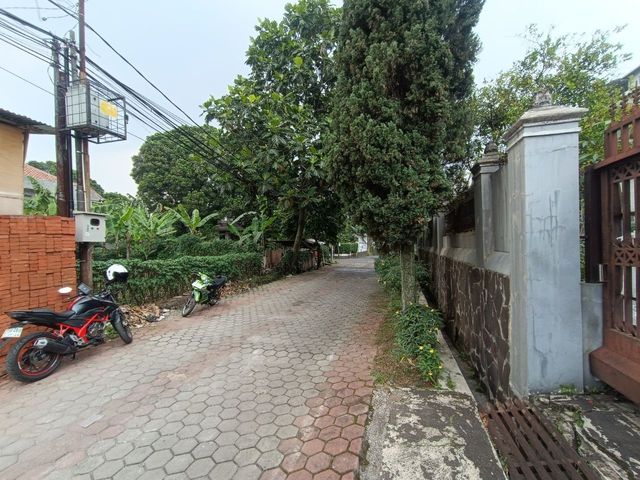 place photo 18