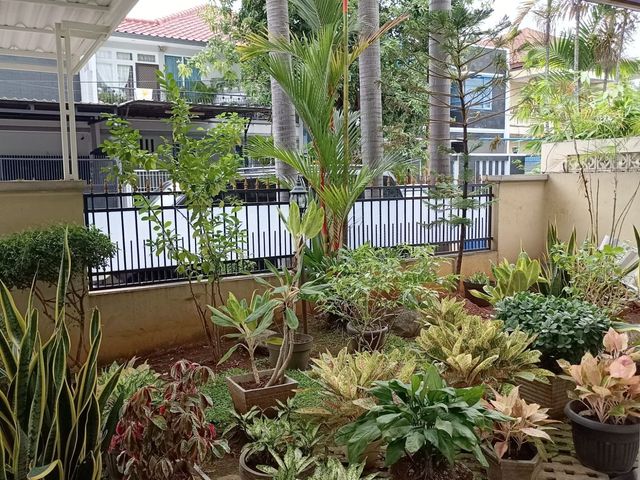 place photo 13