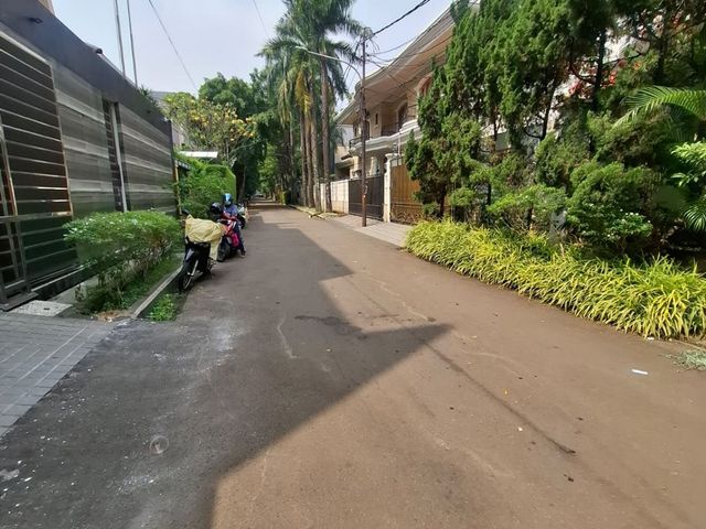 place photo 12