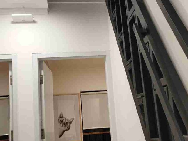 place photo 29