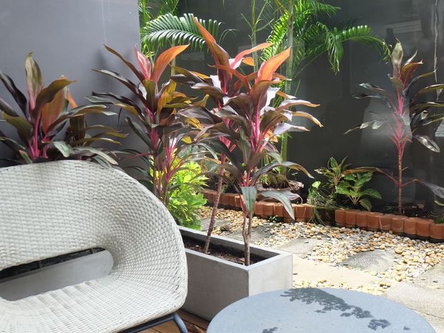 place photo 46