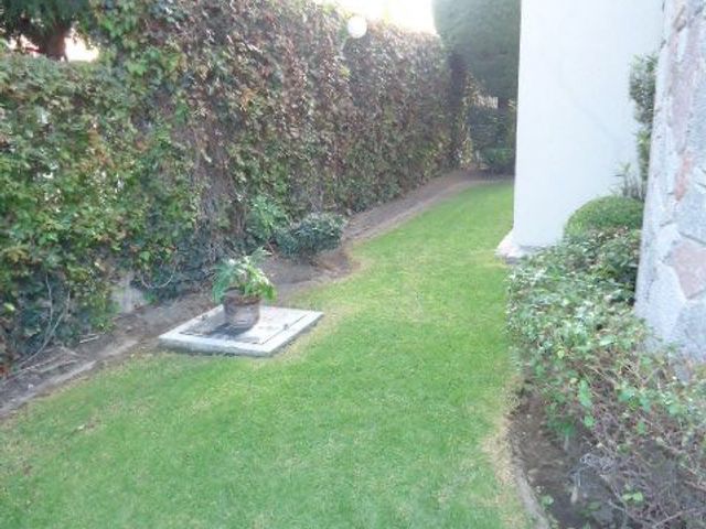 place photo 48