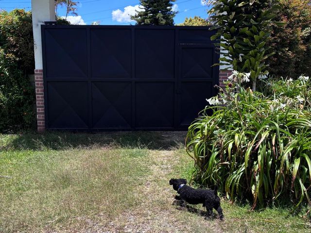 place photo 13