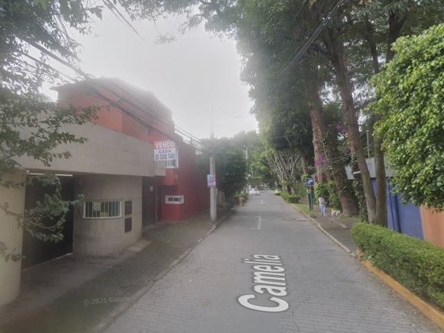 place photo 11