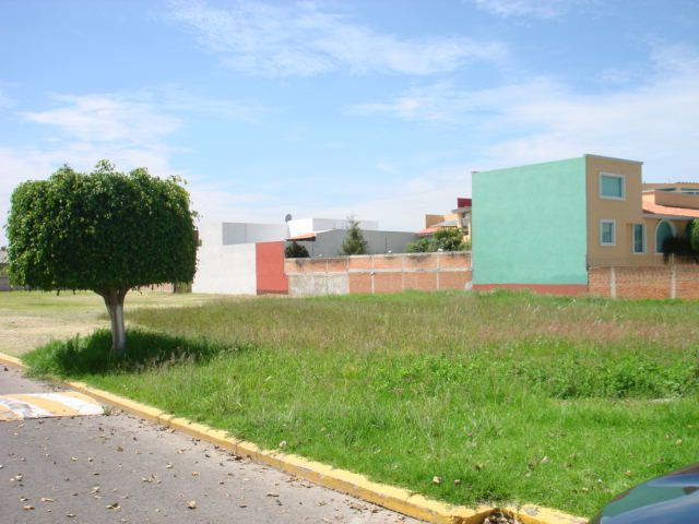 place photo 14