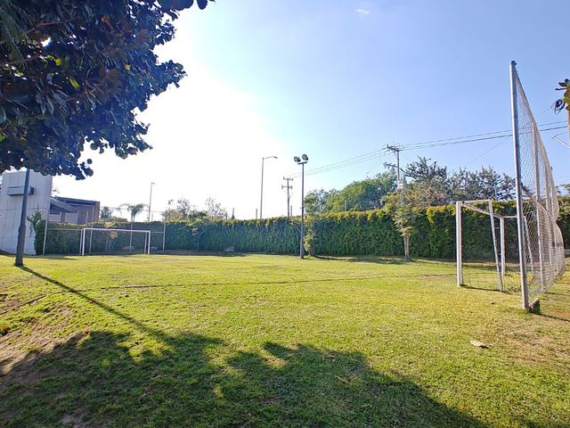 place photo 33