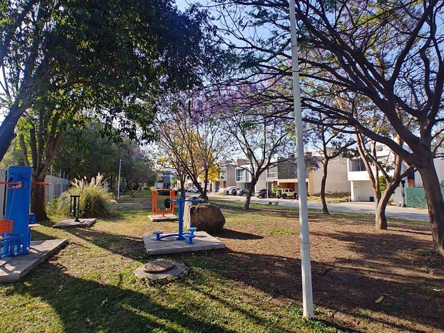 place photo 39