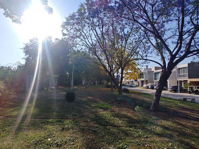 place photo 41