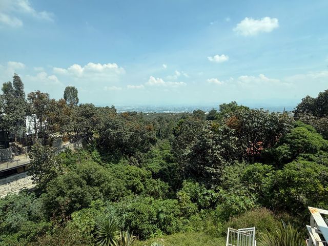 place photo 45