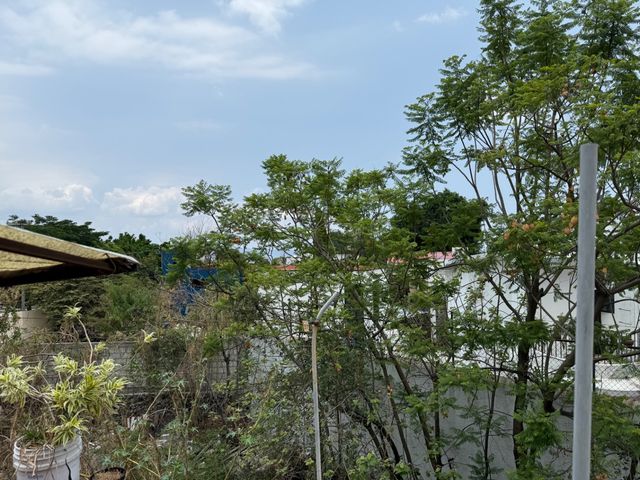 place photo 58