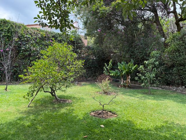 place photo 46