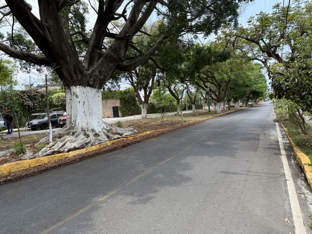 place photo 56