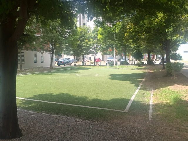 place photo 22