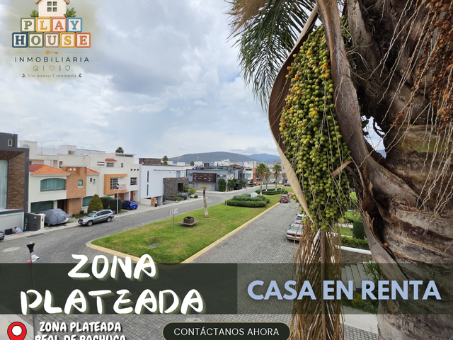 place photo 38