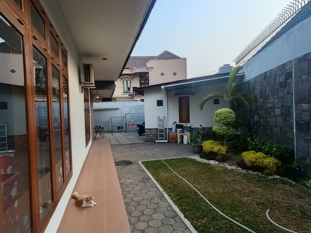 place photo 24