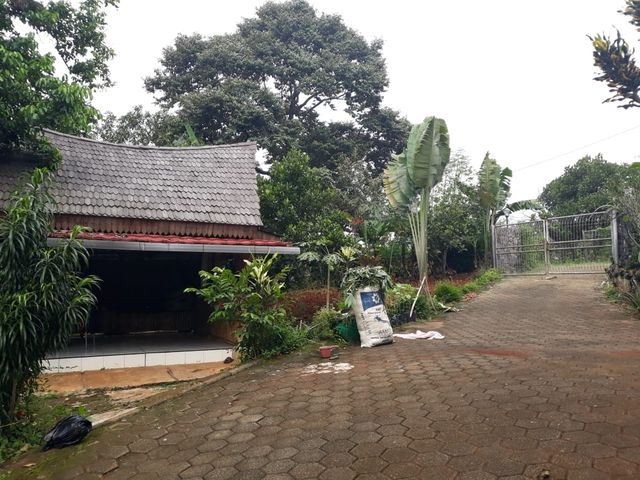 place photo 14