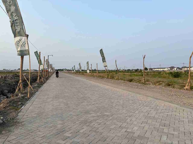 place photo 17
