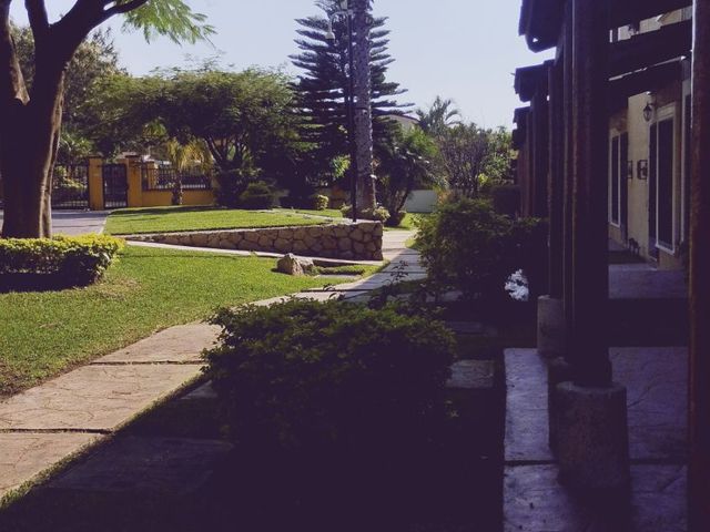 place photo 24