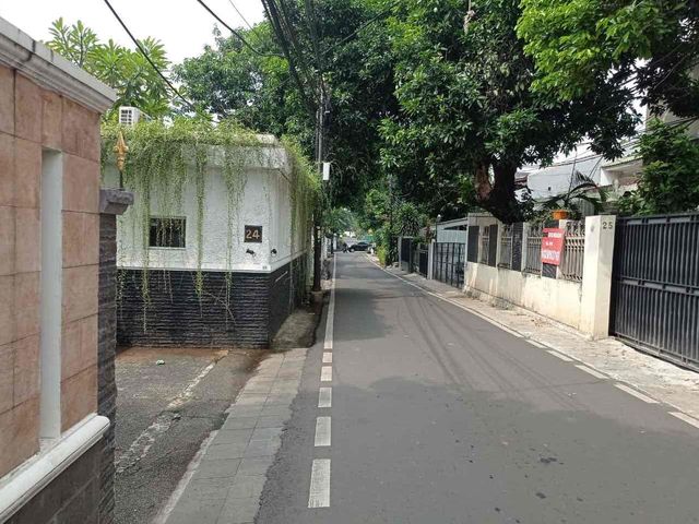 place photo 17