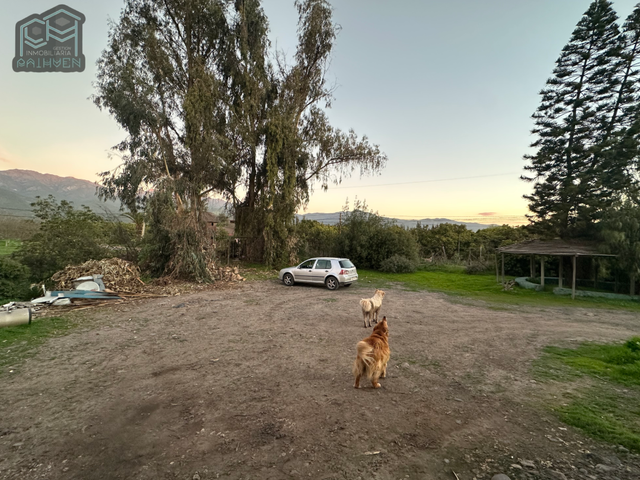 place photo 22