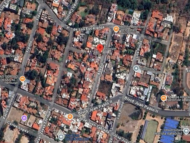 place photo 11