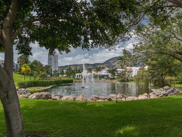 place photo 46