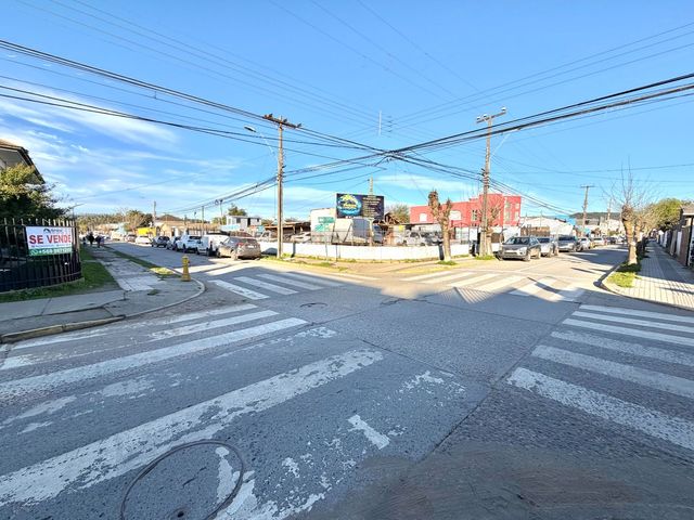 place photo 22
