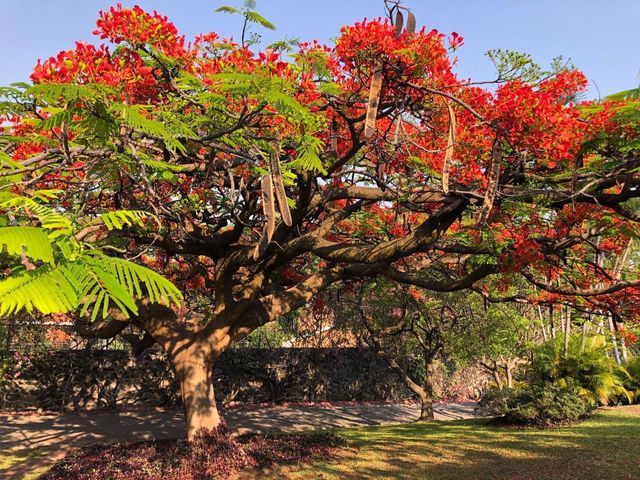 place photo 21