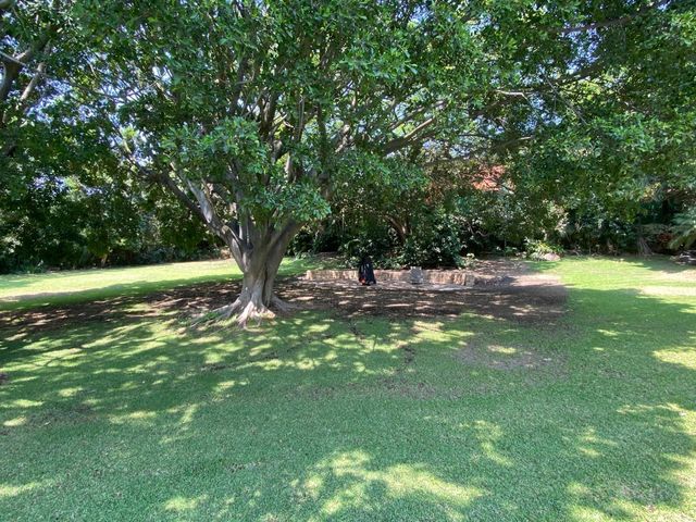place photo 28