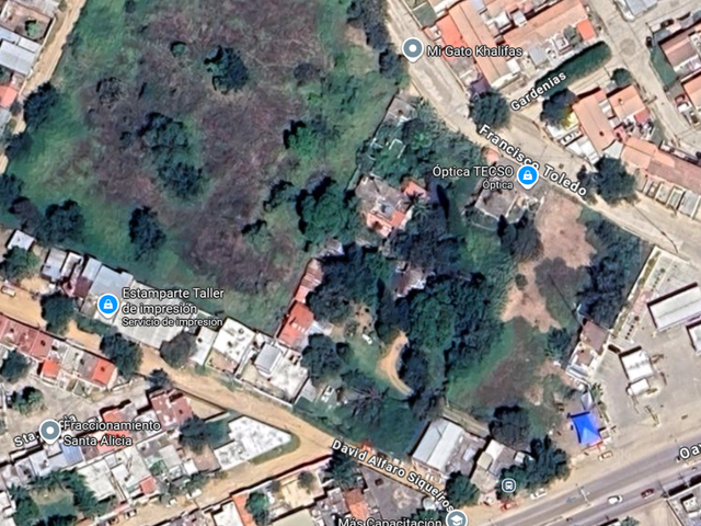 place photo 4
