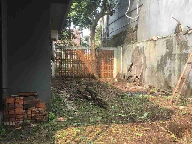 place photo 16