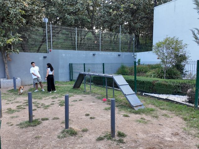 place photo 35