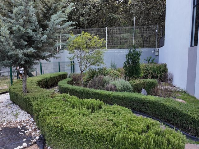 place photo 33
