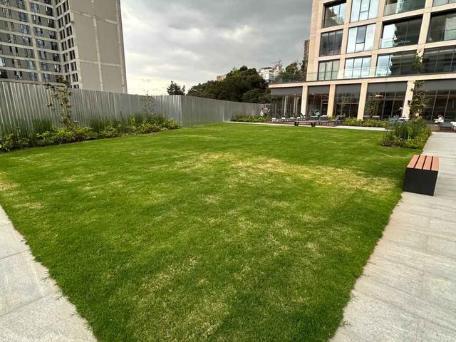 place photo 44