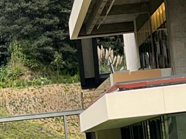place photo 48