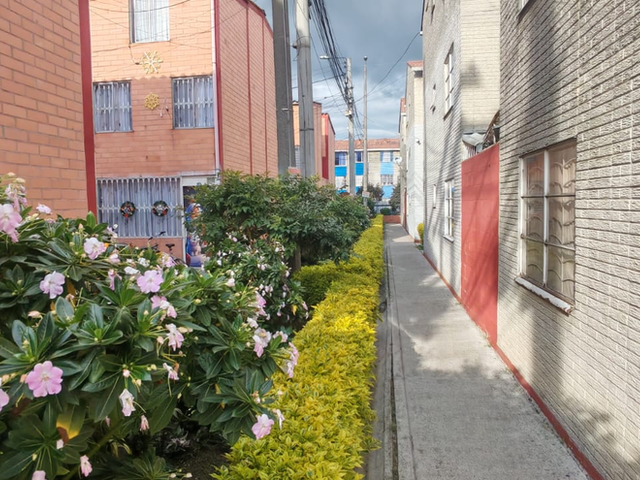 place photo 21