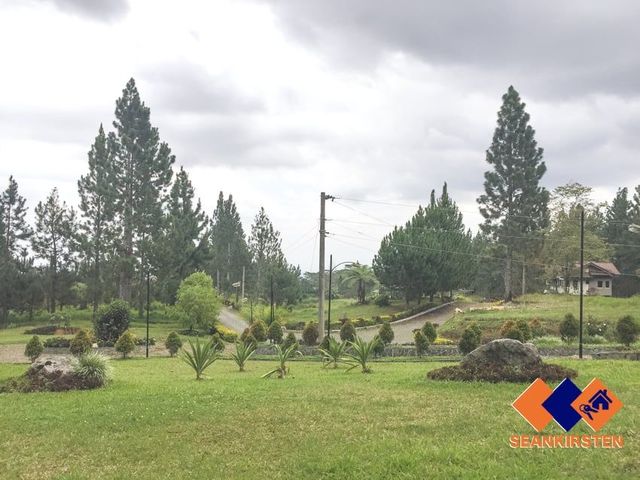place photo 24