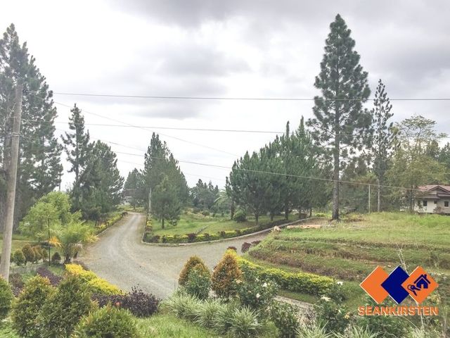 place photo 25