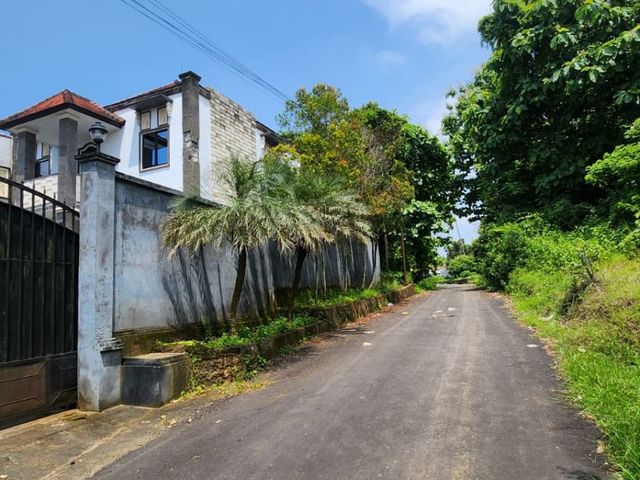 place photo 20