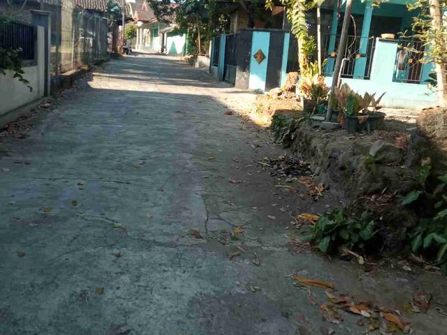 place photo 1