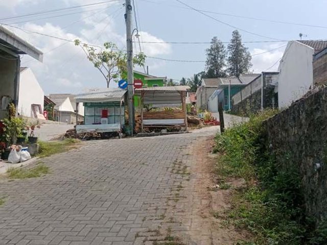 place photo 11